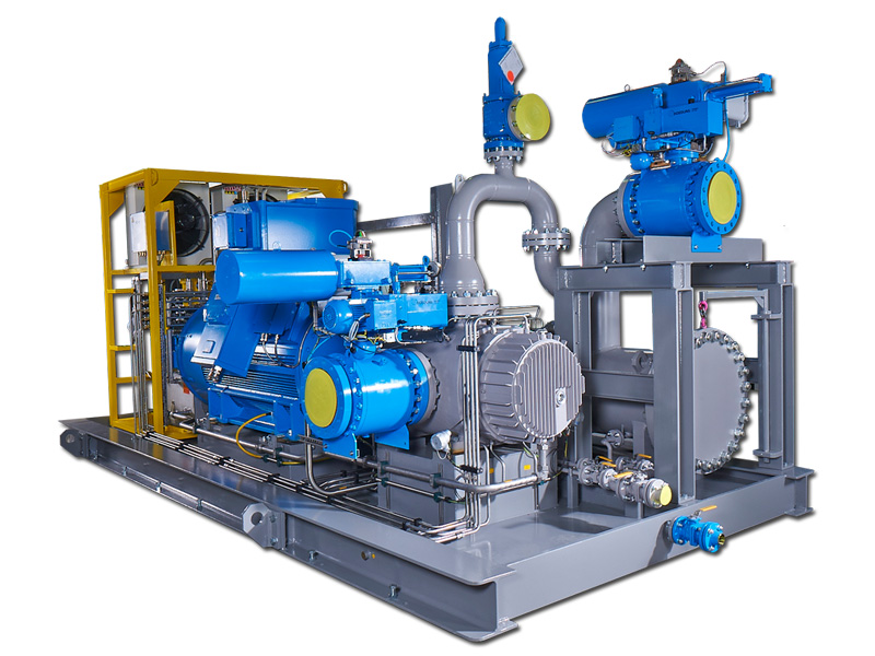 Multiphase Pump System