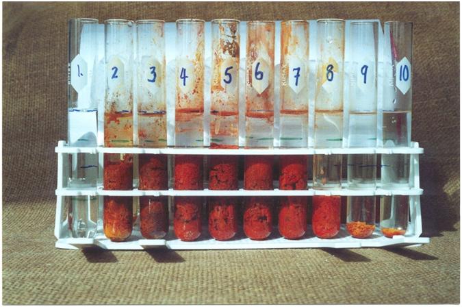 Caustic Cleaning System for Geodynamics: Geothermal Project
