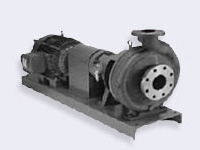 ANSI B73.1 PUMPS