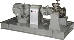 API 610 Pumps