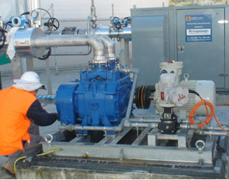 Claw Type Gas Compressors