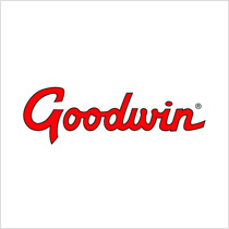 Goodwin pumps